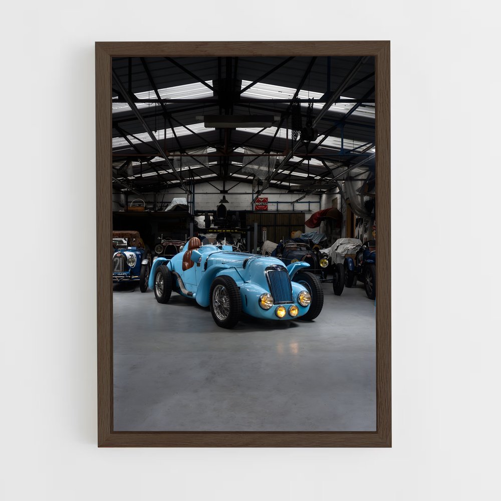 Poster Delage Vivez (vue 5)
