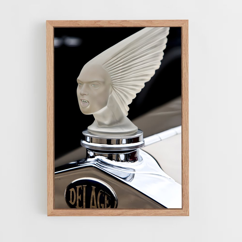 Poster Oiseau Élégant – affiche Delage (vue 4)