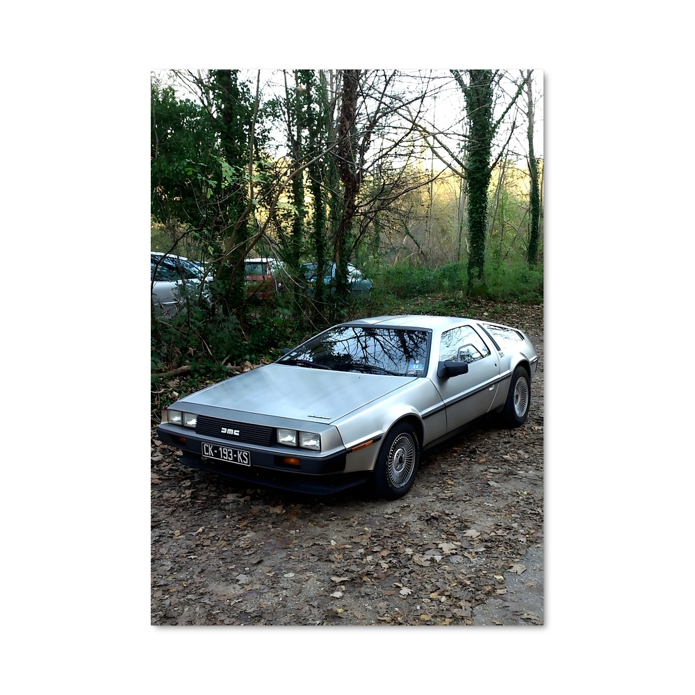 Poster Delorean Embarquez
