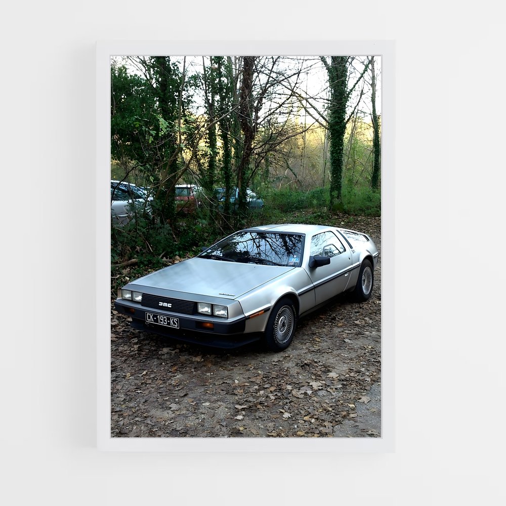 Poster Delorean Embarquez (vue 3)