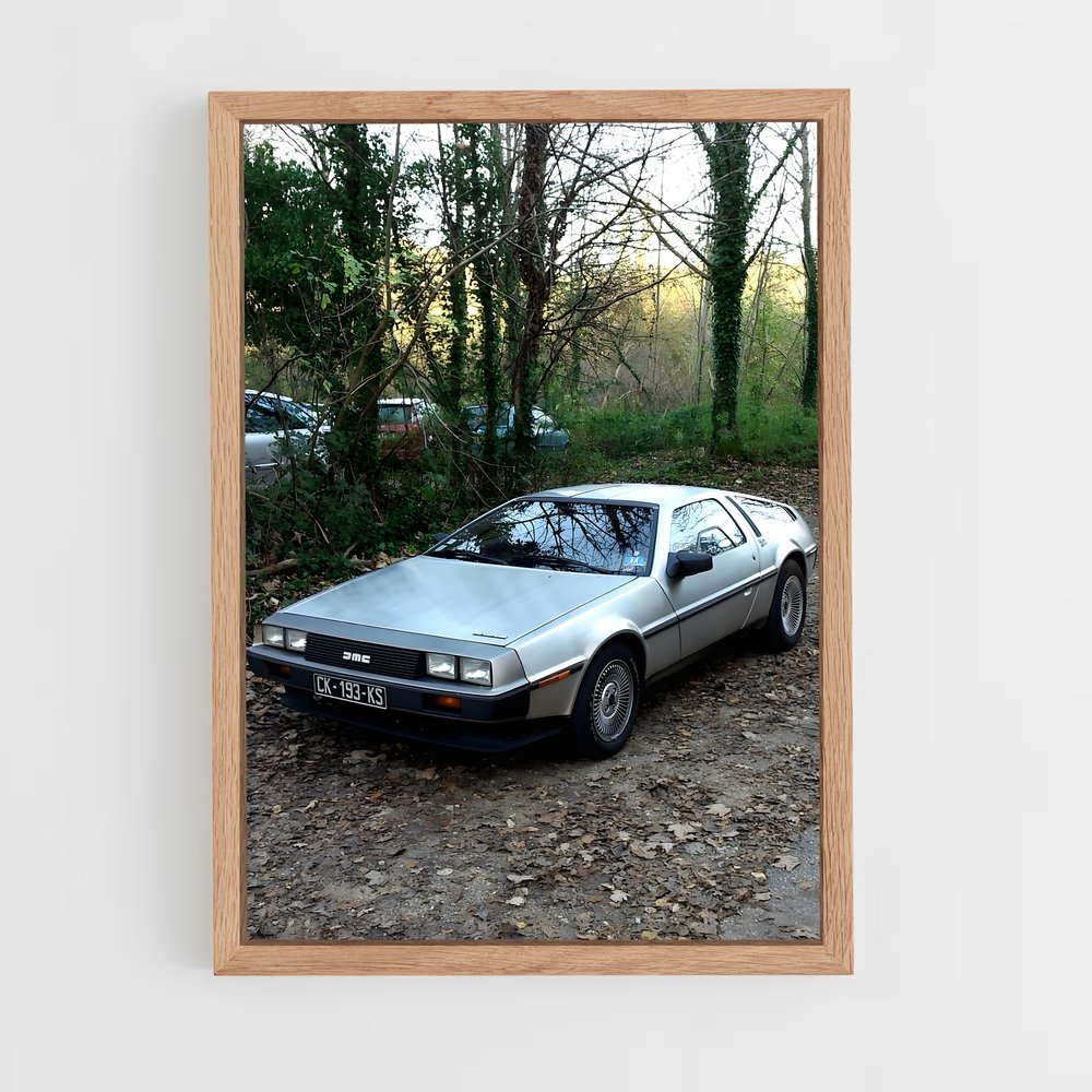 Poster Delorean Embarquez (vue 4)