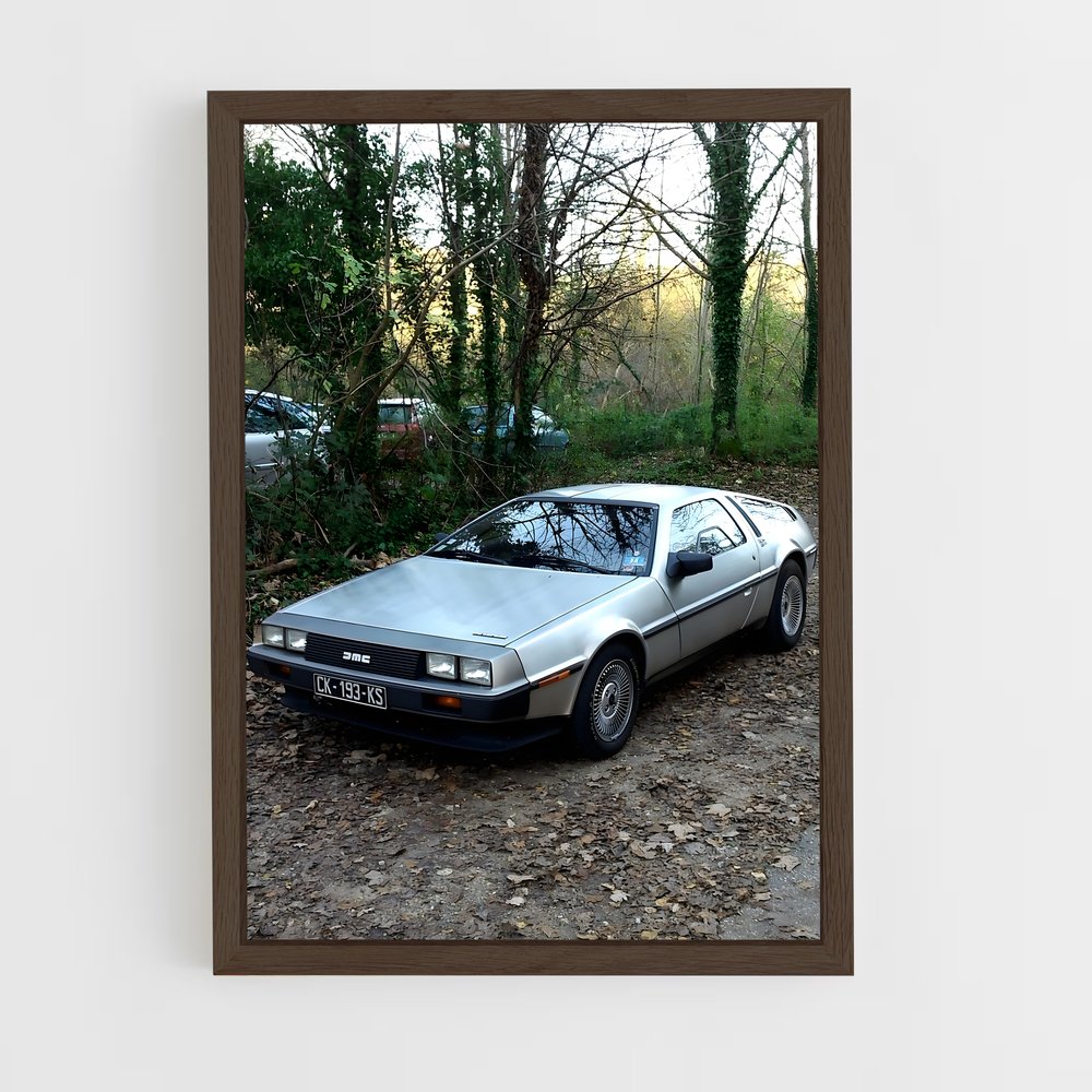 Poster Delorean Embarquez (vue 5)