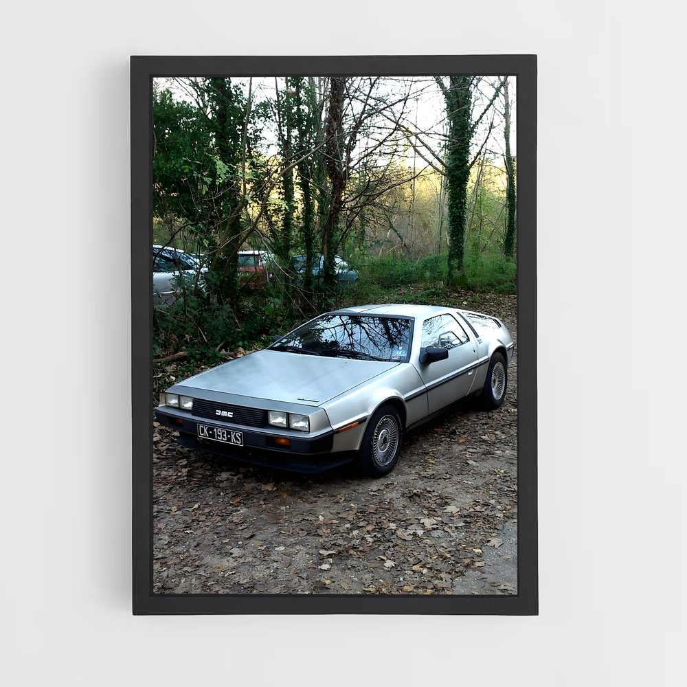 Poster Delorean Embarquez (vue 2)