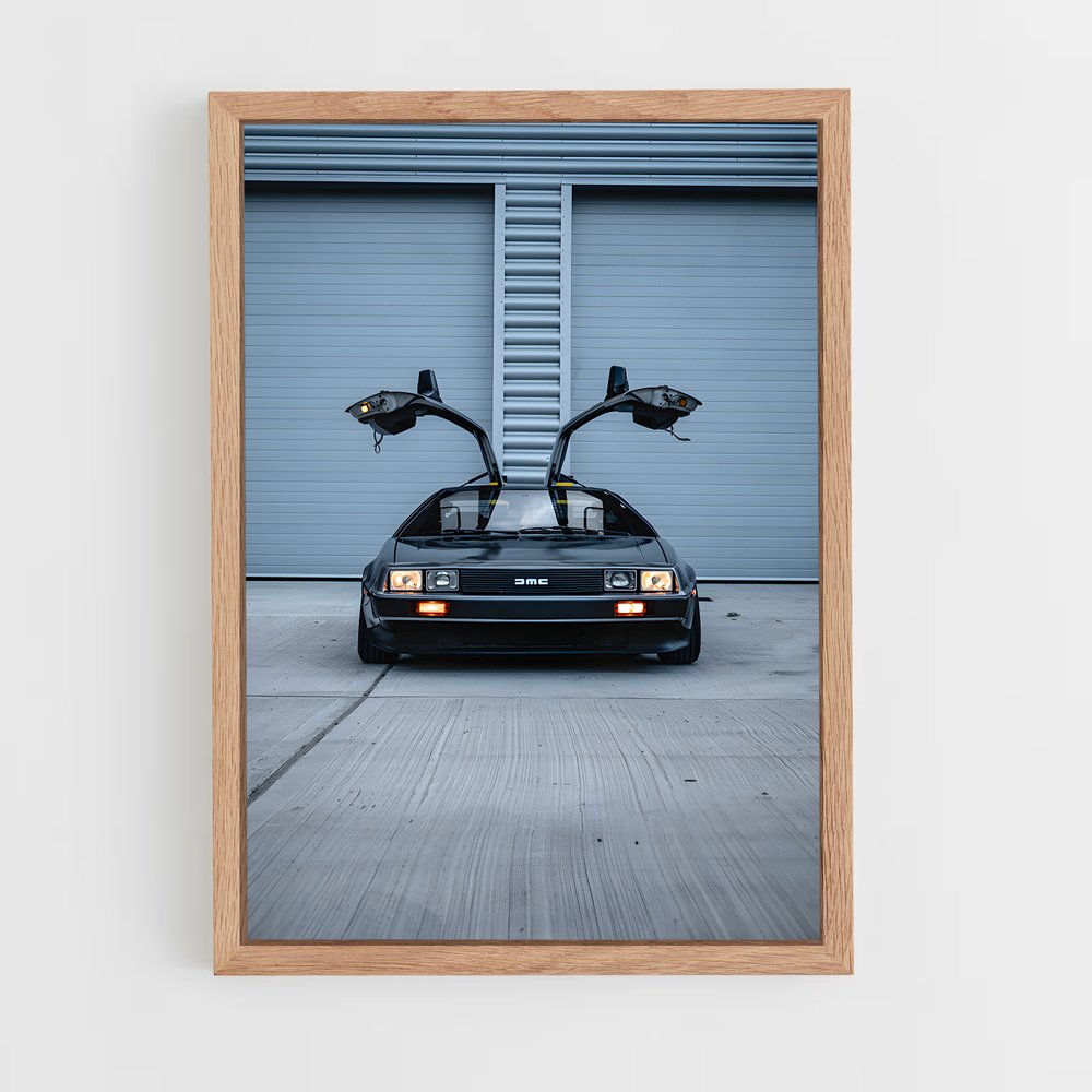 Poster Delorean Temps (vue 4)