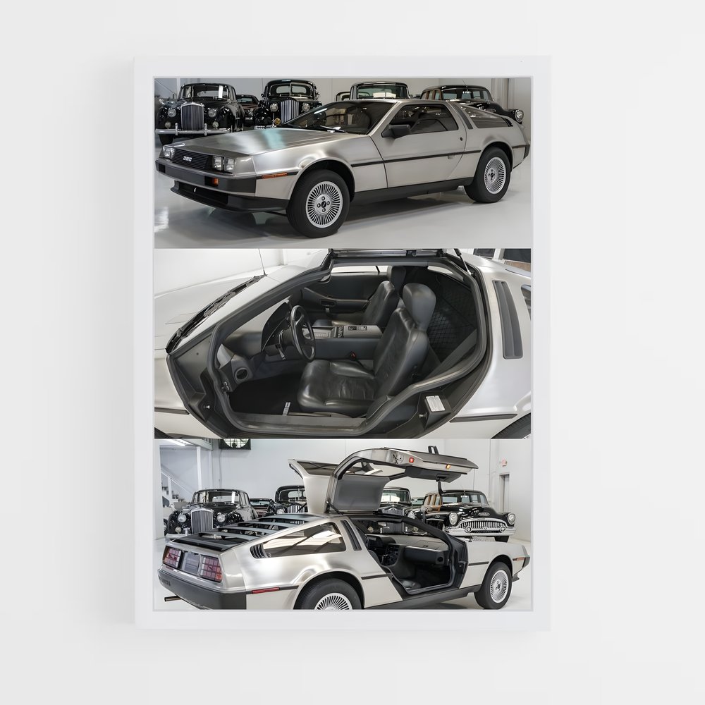 Poster Carception – affiche Delorean (vue 3)
