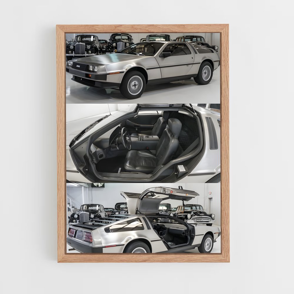 Poster Carception – affiche Delorean (vue 4)