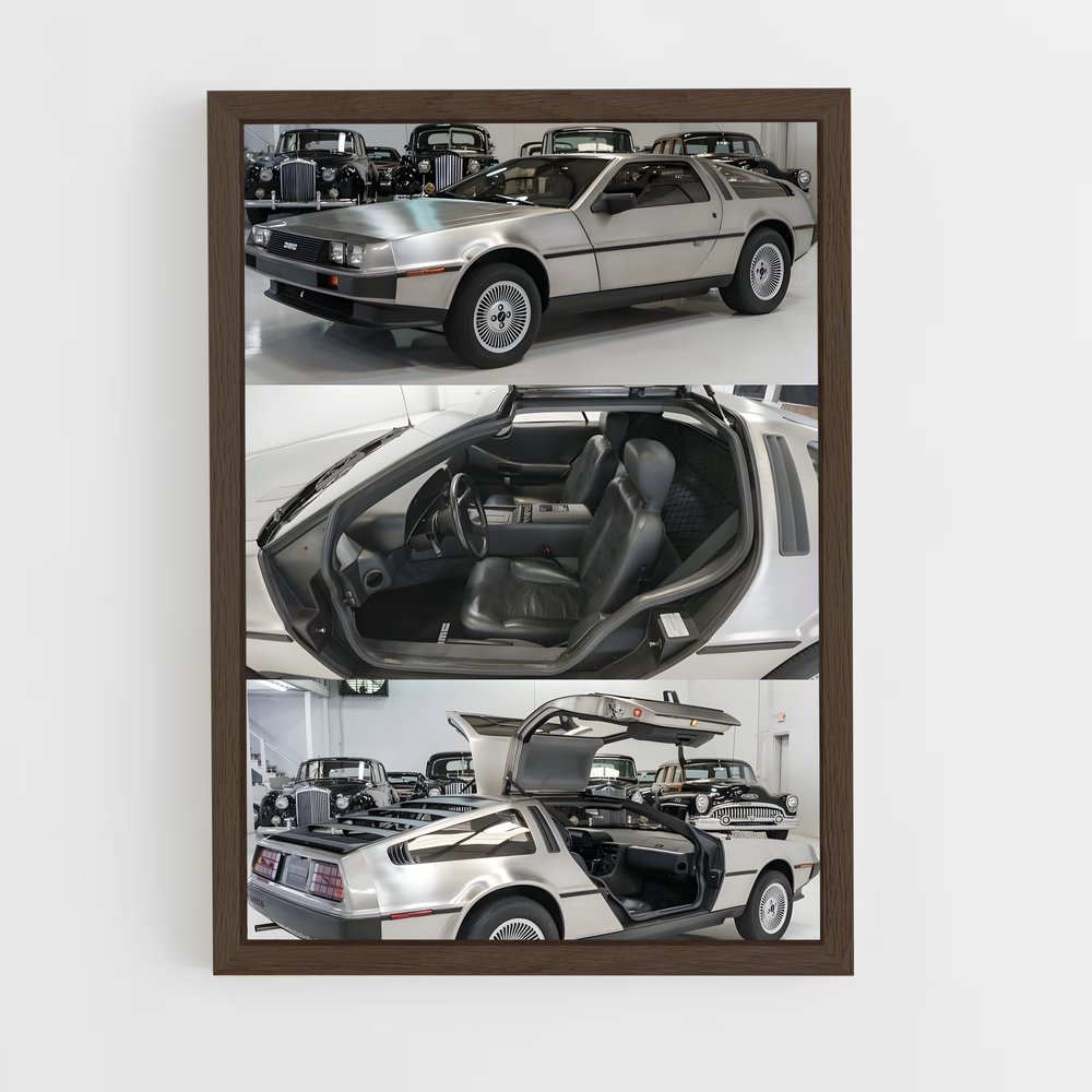 Poster Carception – affiche Delorean (vue 5)