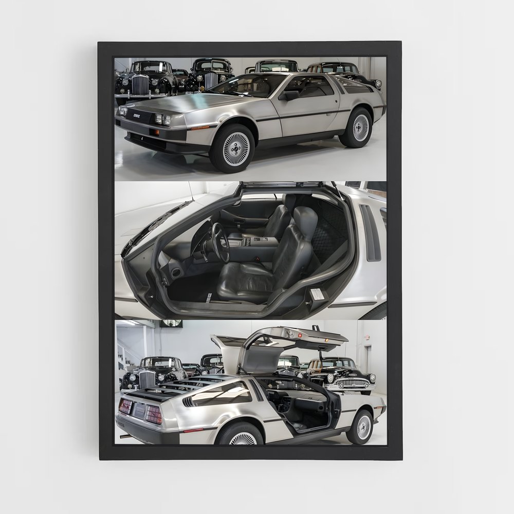Poster Carception – affiche Delorean (vue 2)