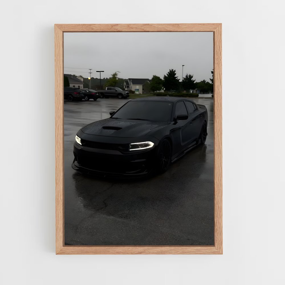 Poster Pluie Écarlate – affiche Dodge (vue 4)