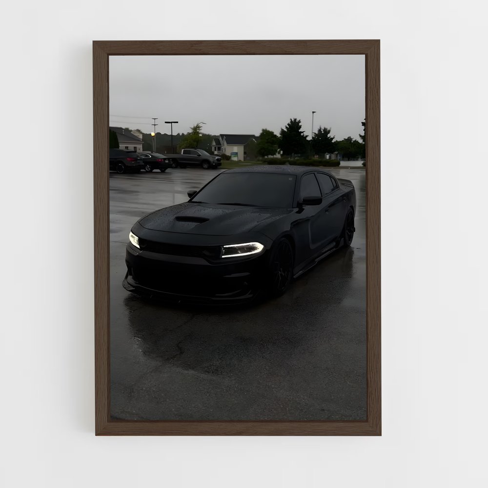 Poster Pluie Écarlate – affiche Dodge (vue 5)