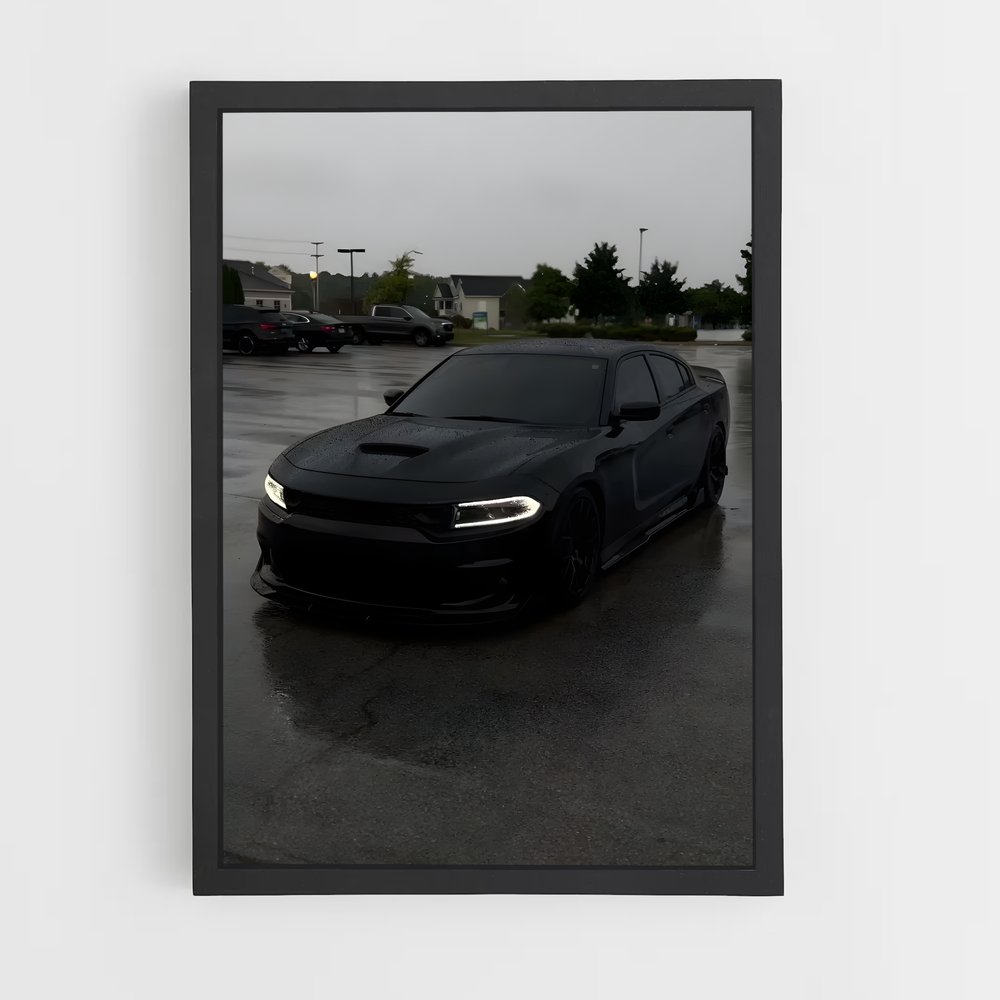 Poster Pluie Écarlate – affiche Dodge (vue 2)