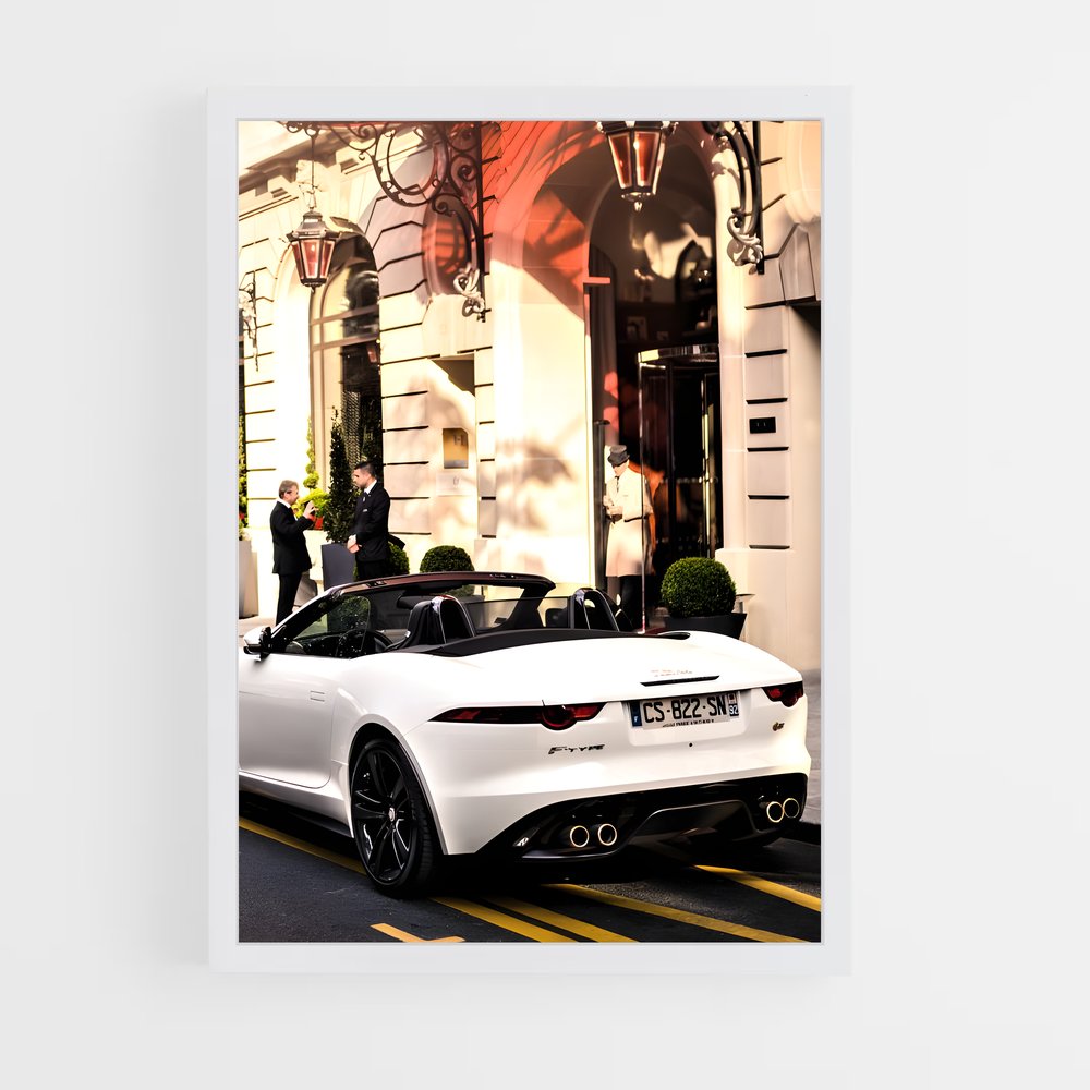 Poster Route Blanche – affiche Jaguar (vue 3)