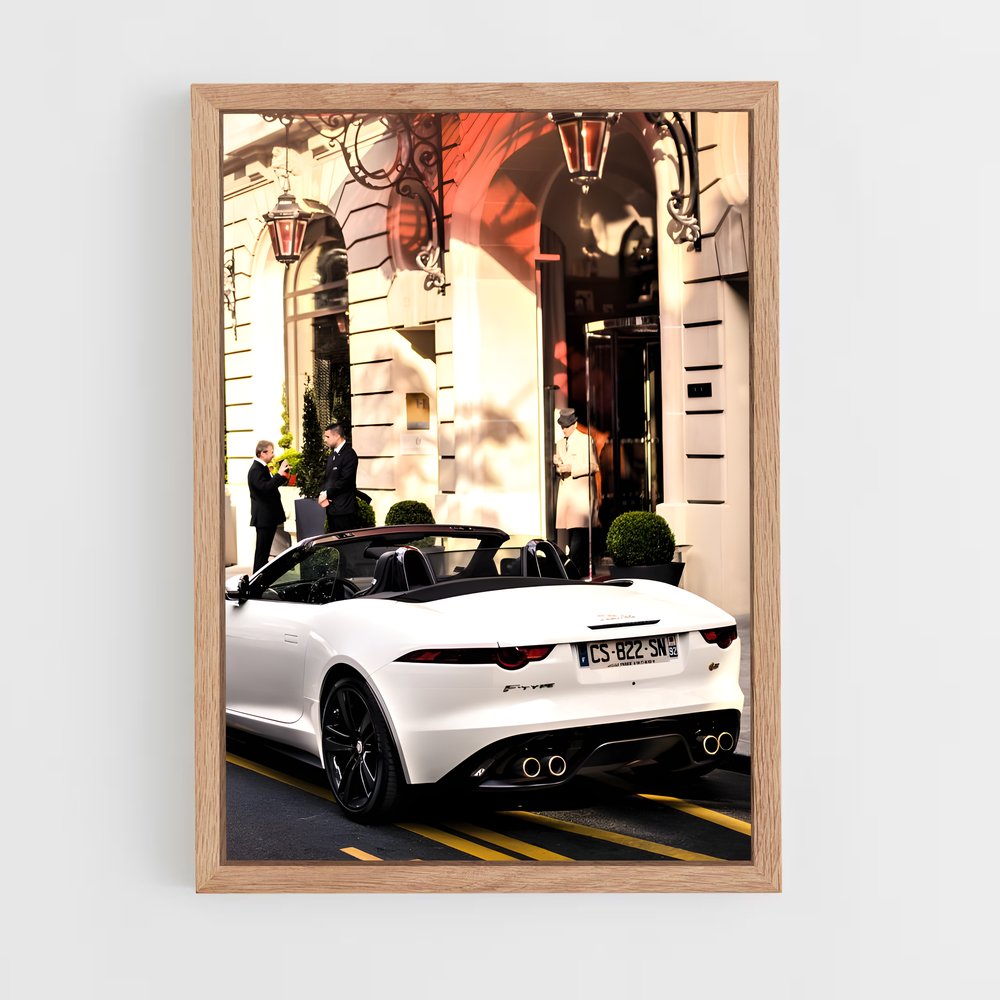 Poster Route Blanche – affiche Jaguar (vue 4)