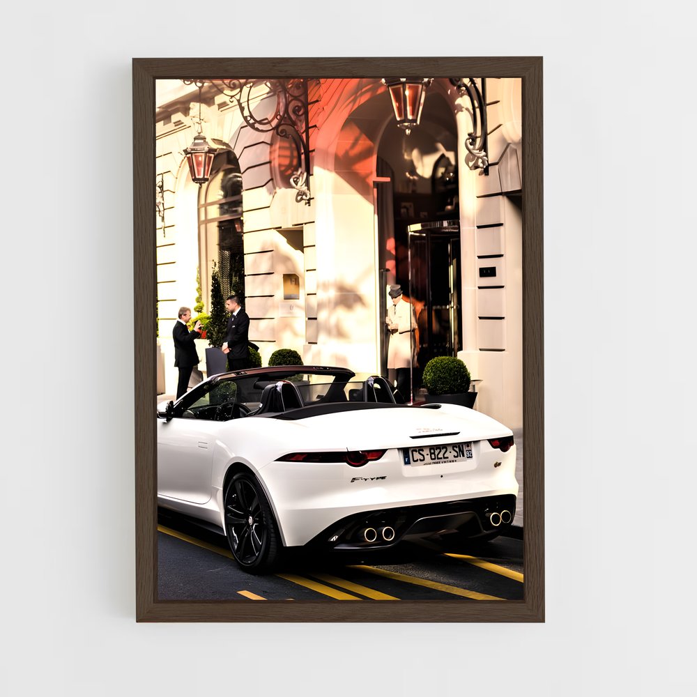 Poster Route Blanche – affiche Jaguar (vue 5)