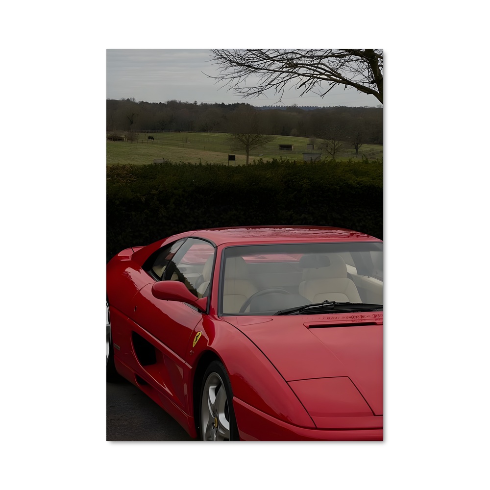 Poster Rouge de passion