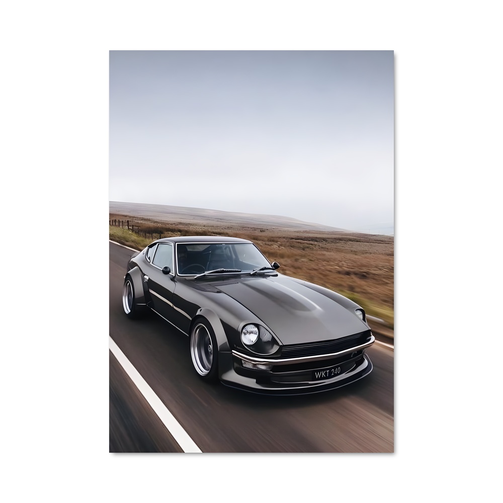 Poster magnifique Fairladyz
