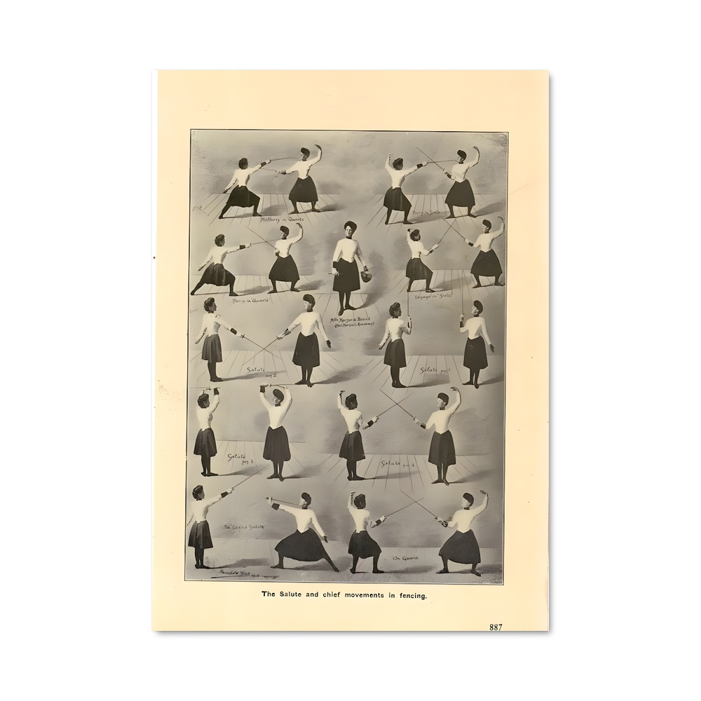 Poster Fencing danse