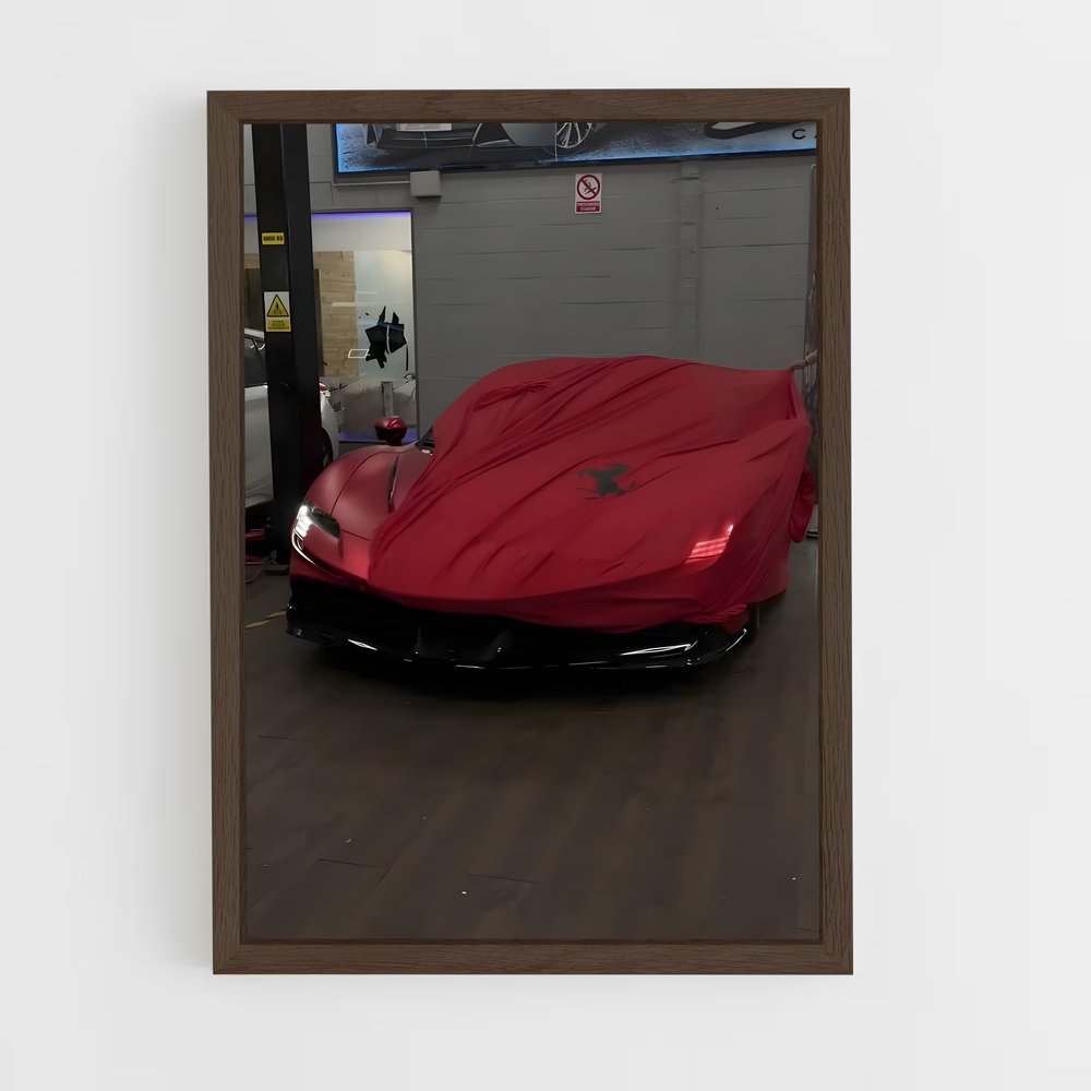 Poster Ferrari Cachée (vue 5)