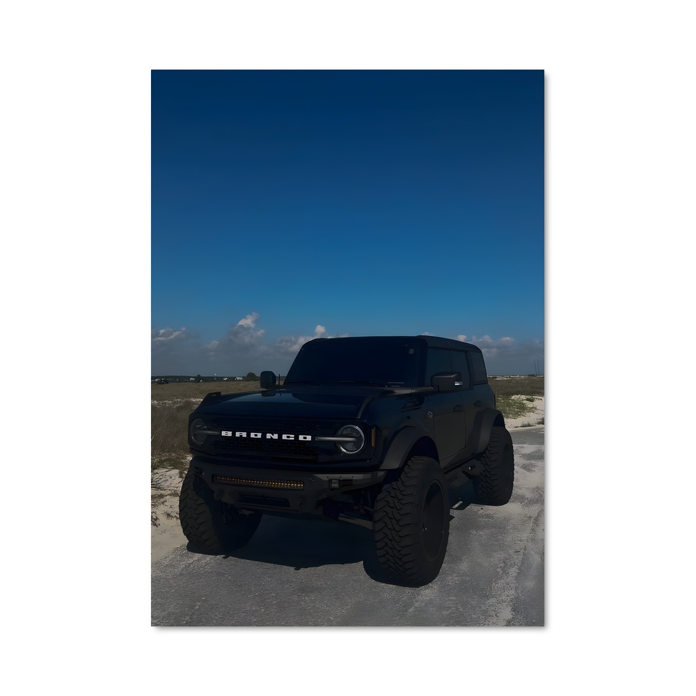Poster Ford charme