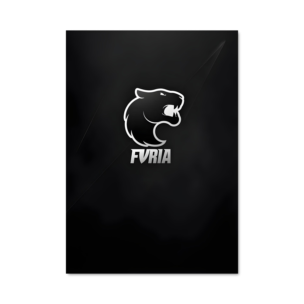 Poster Furia Team