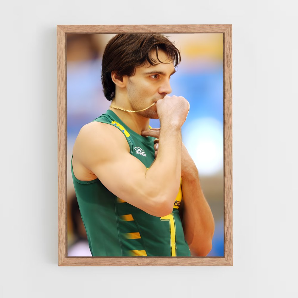 Poster Aloha Vibes – affiche Volleyball (vue 4)