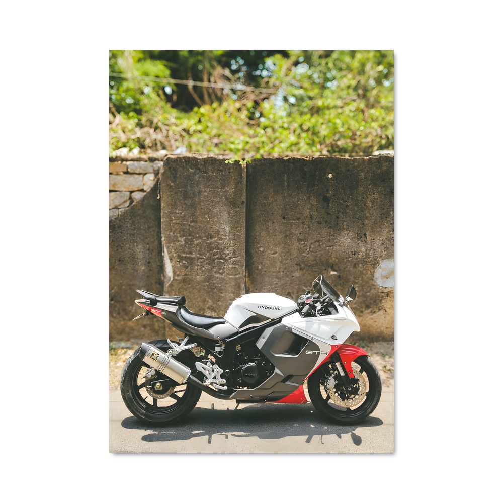 Poster Gt250r Éclatant