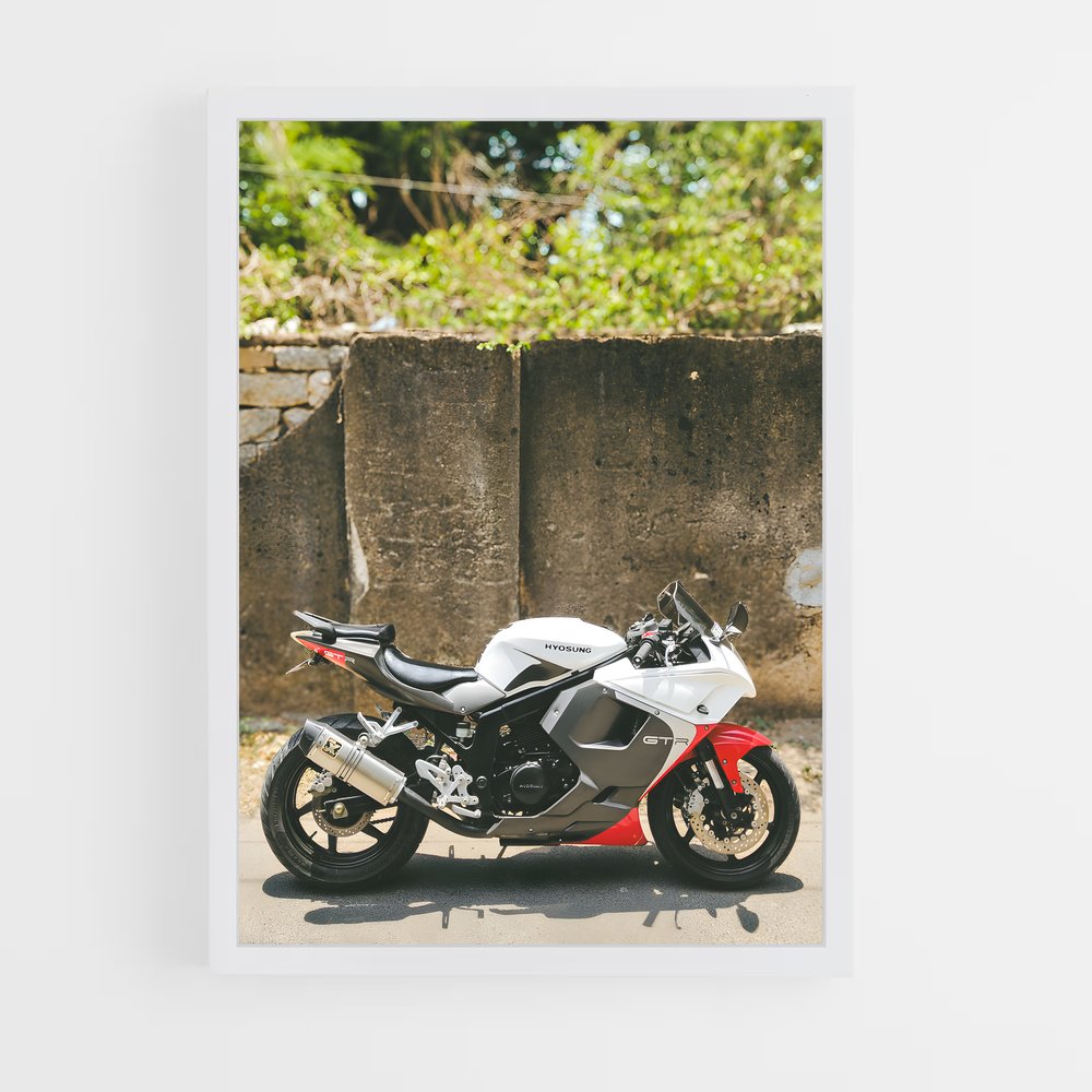 Poster Gt250r Éclatant (vue 3)