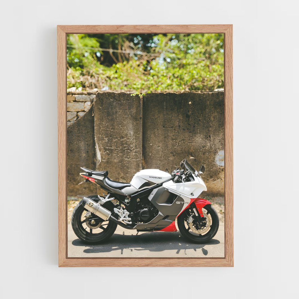 Poster Gt250r Éclatant (vue 4)