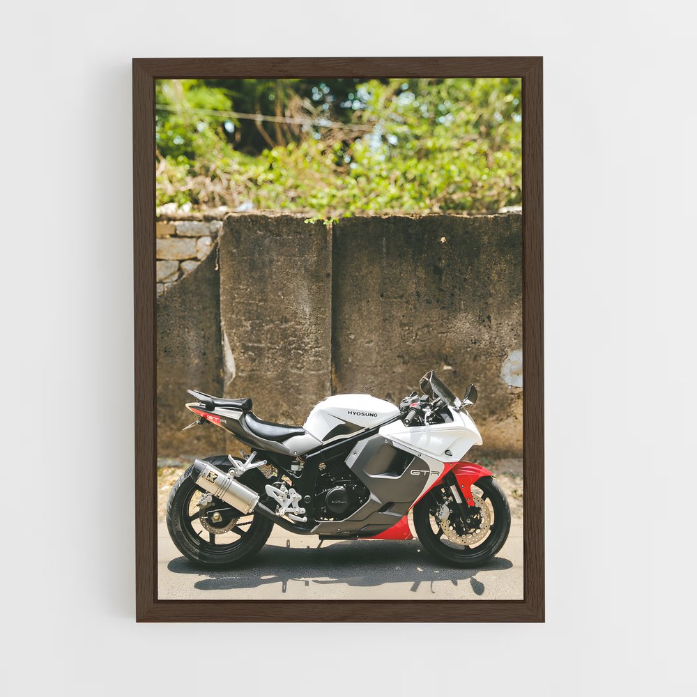 Poster Gt250r Éclatant (vue 5)
