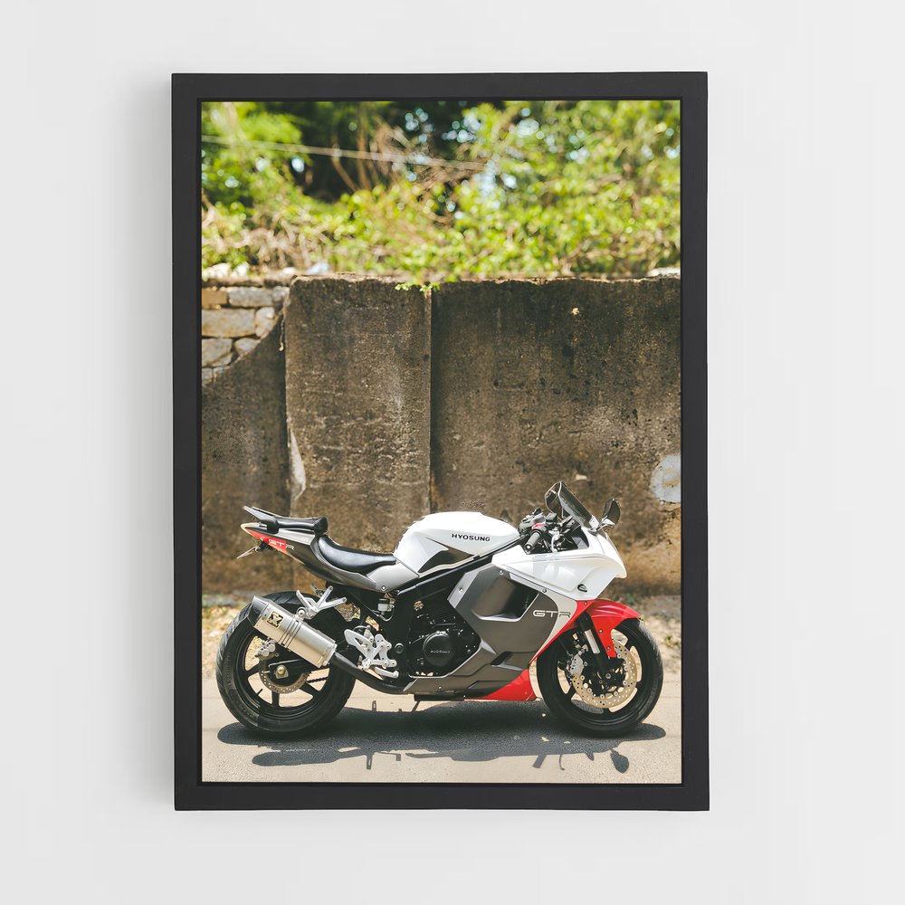 Poster Gt250r Éclatant (vue 2)