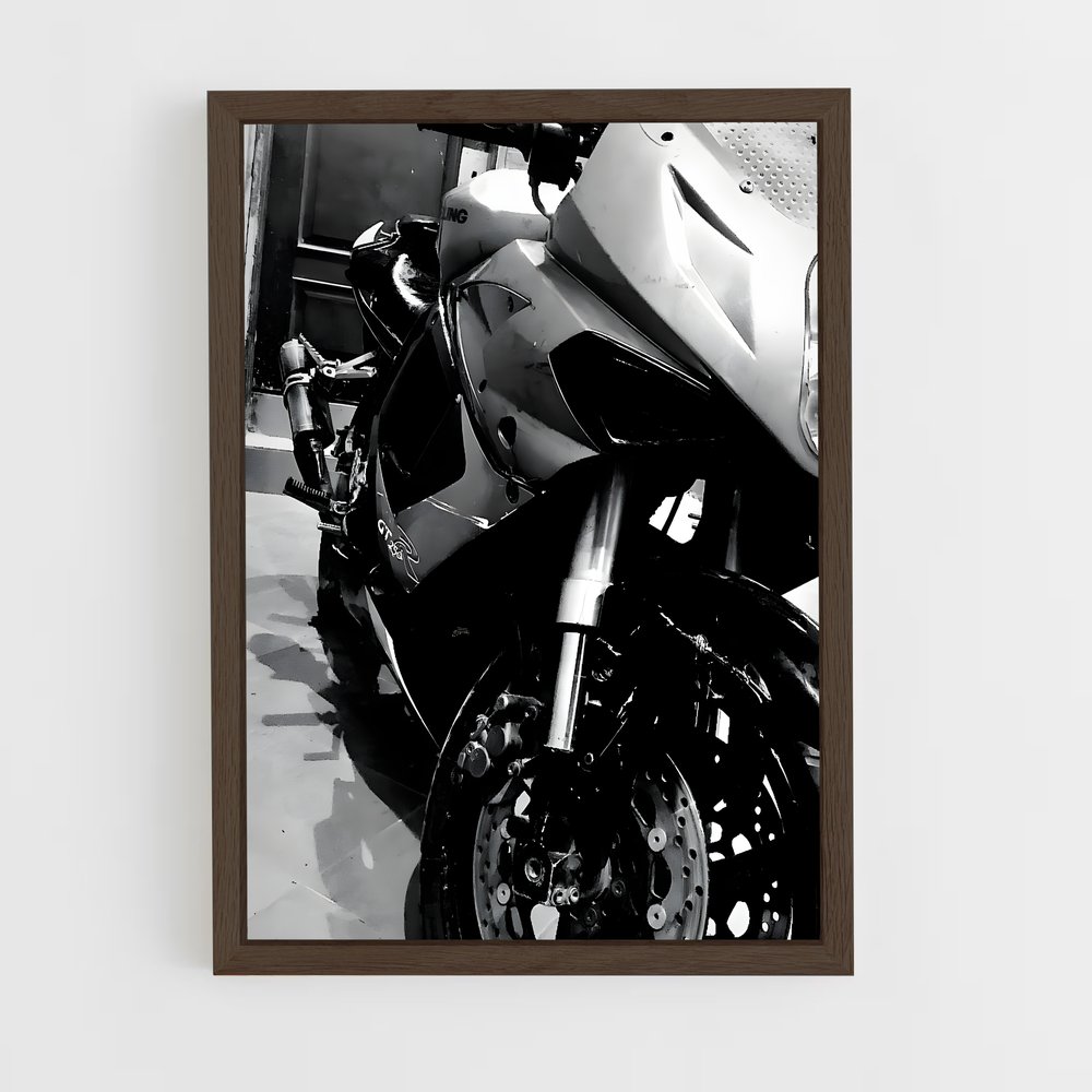 Poster Gt250r Resplendissant (vue 5)