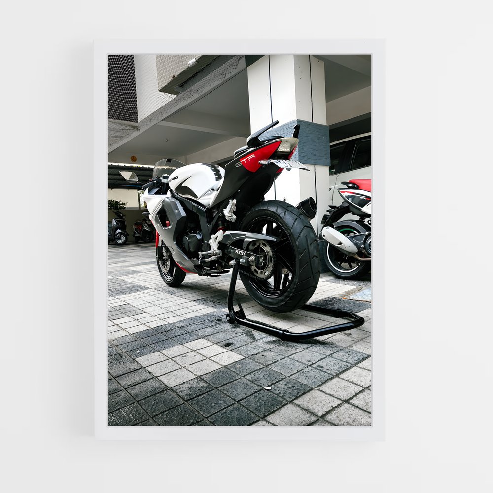 Poster Rayonnement GT250R (vue 3)
