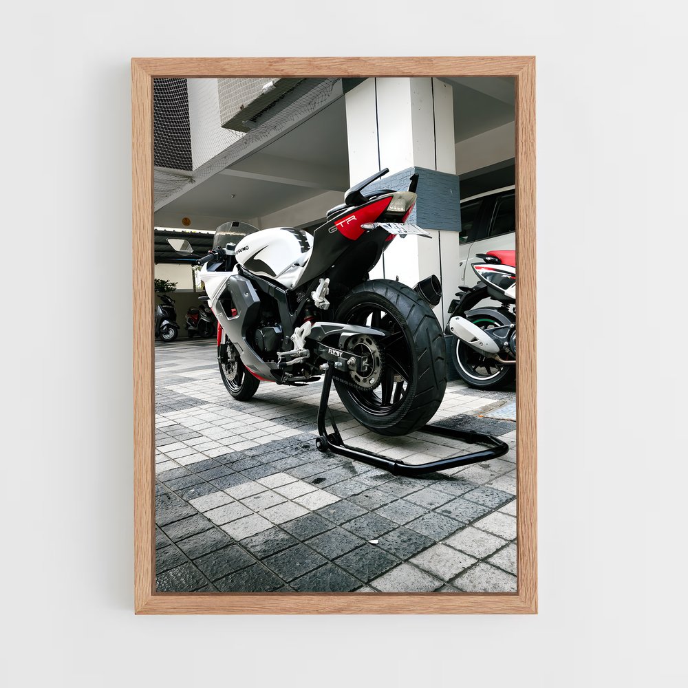 Poster Rayonnement GT250R (vue 4)