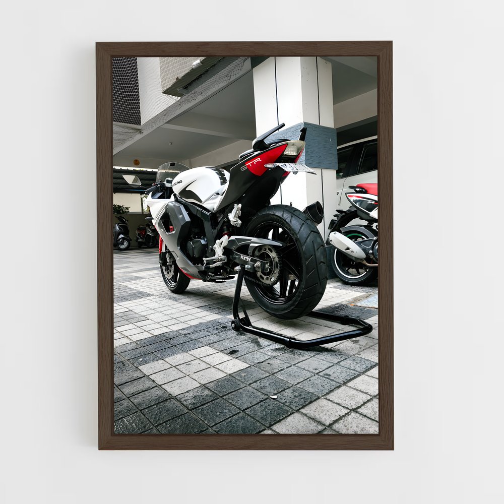 Poster Rayonnement GT250R (vue 5)
