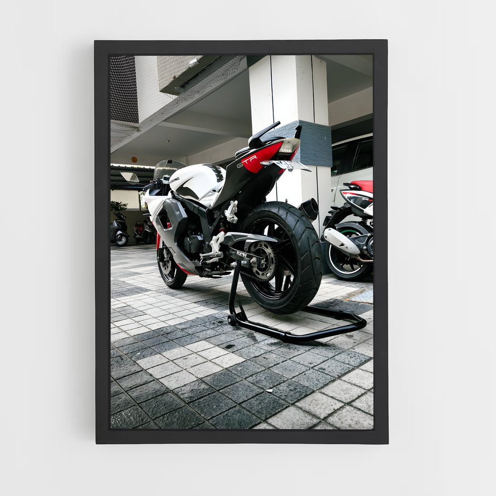 Poster Rayonnement GT250R (vue 2)
