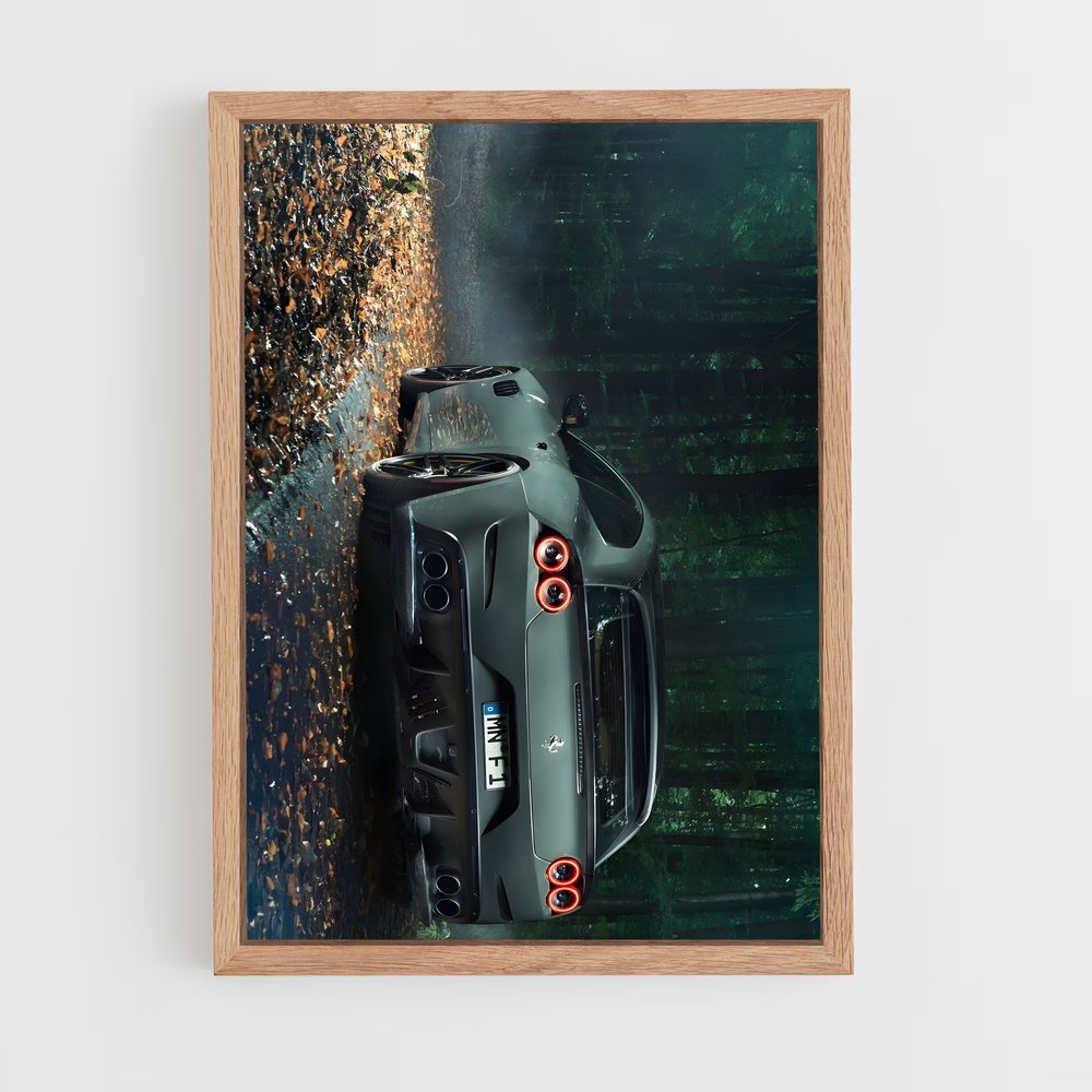 Poster Lumières dans les Bois – affiche Ferrari (vue 4)