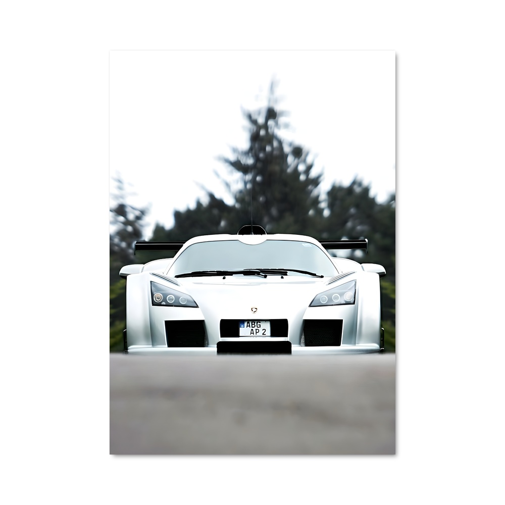 Poster Gumpert Bout