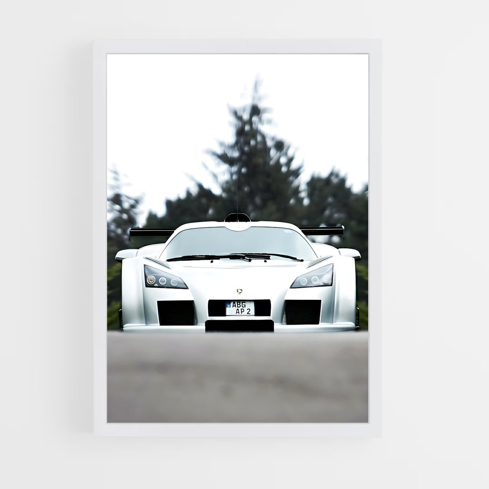 Poster Gumpert Bout (vue 3)