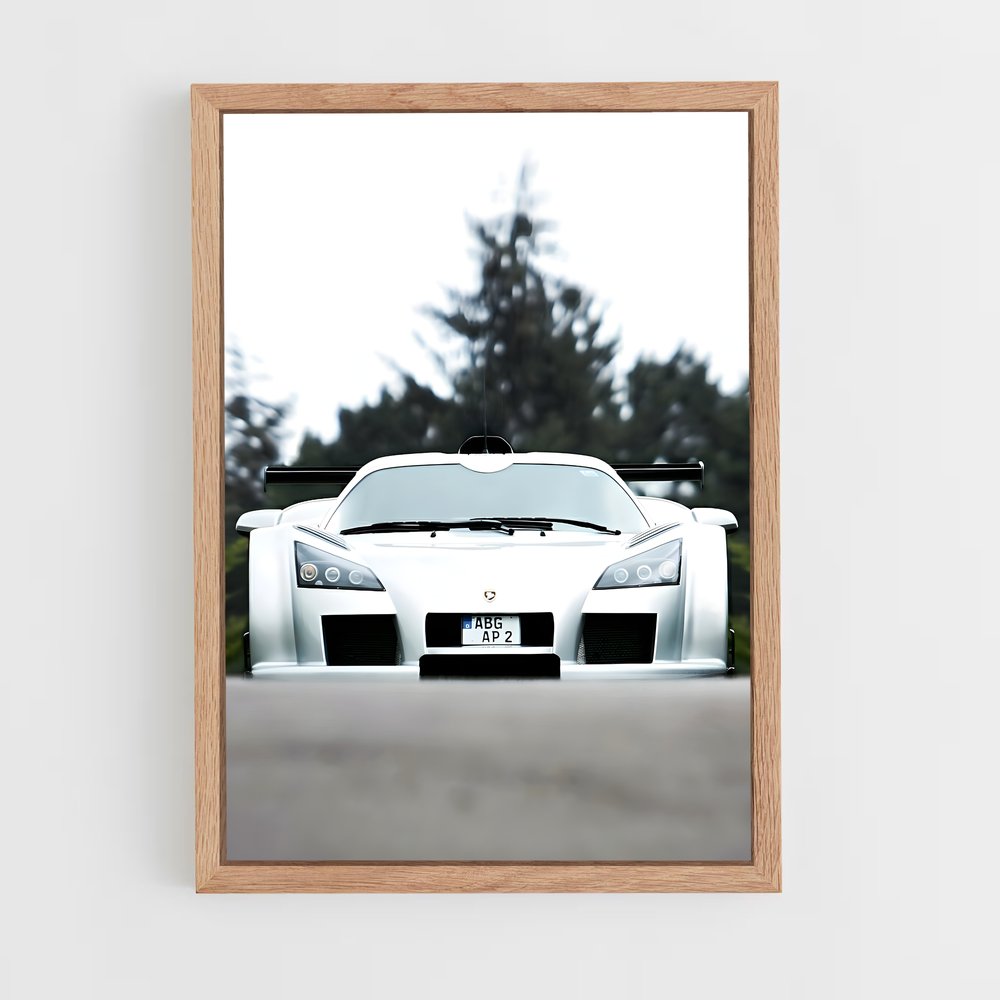 Poster Gumpert Bout (vue 4)