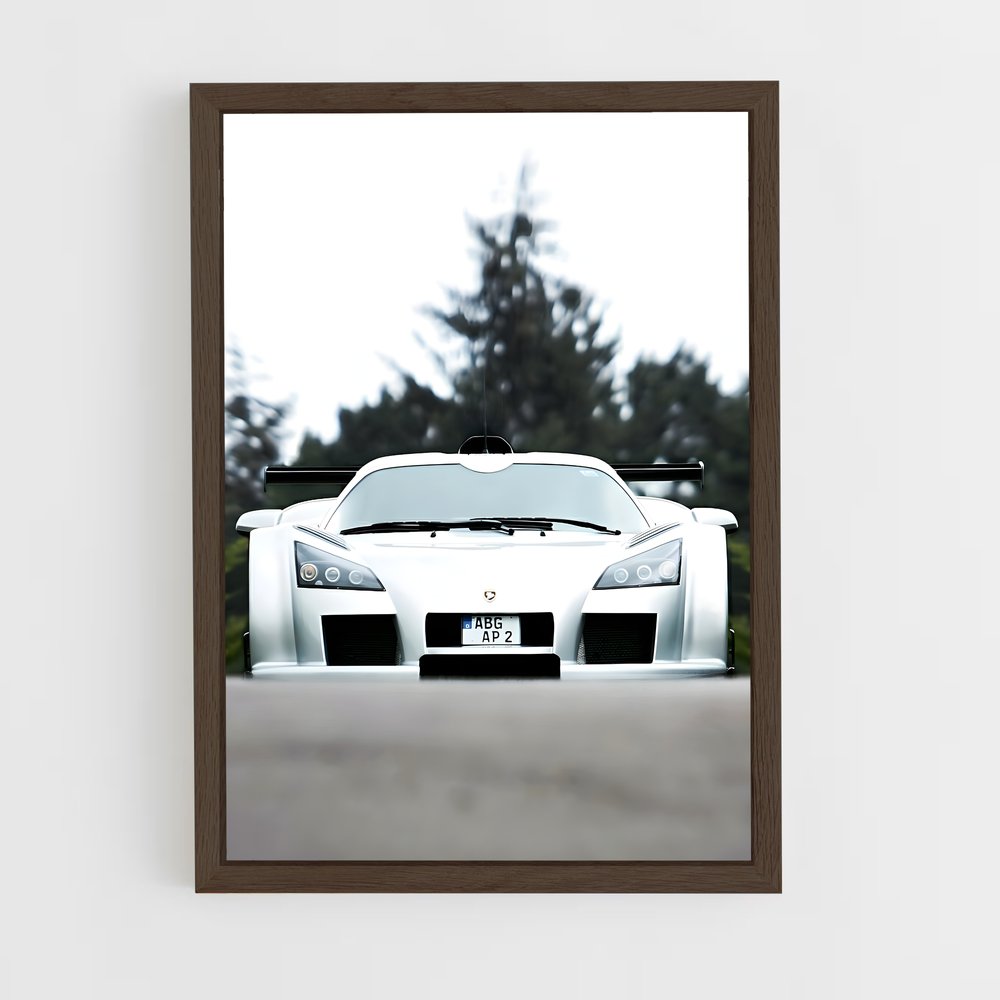 Poster Gumpert Bout (vue 5)