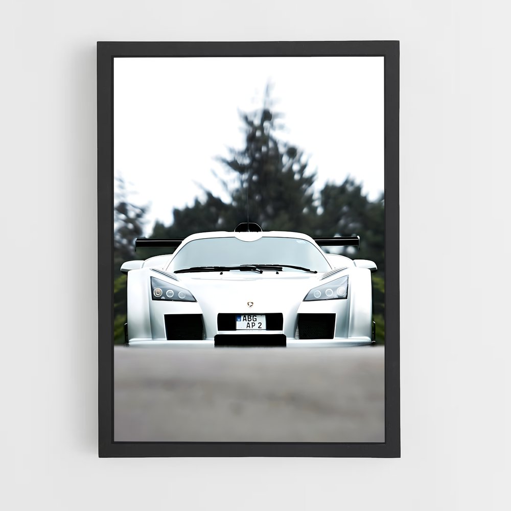 Poster Gumpert Bout (vue 2)