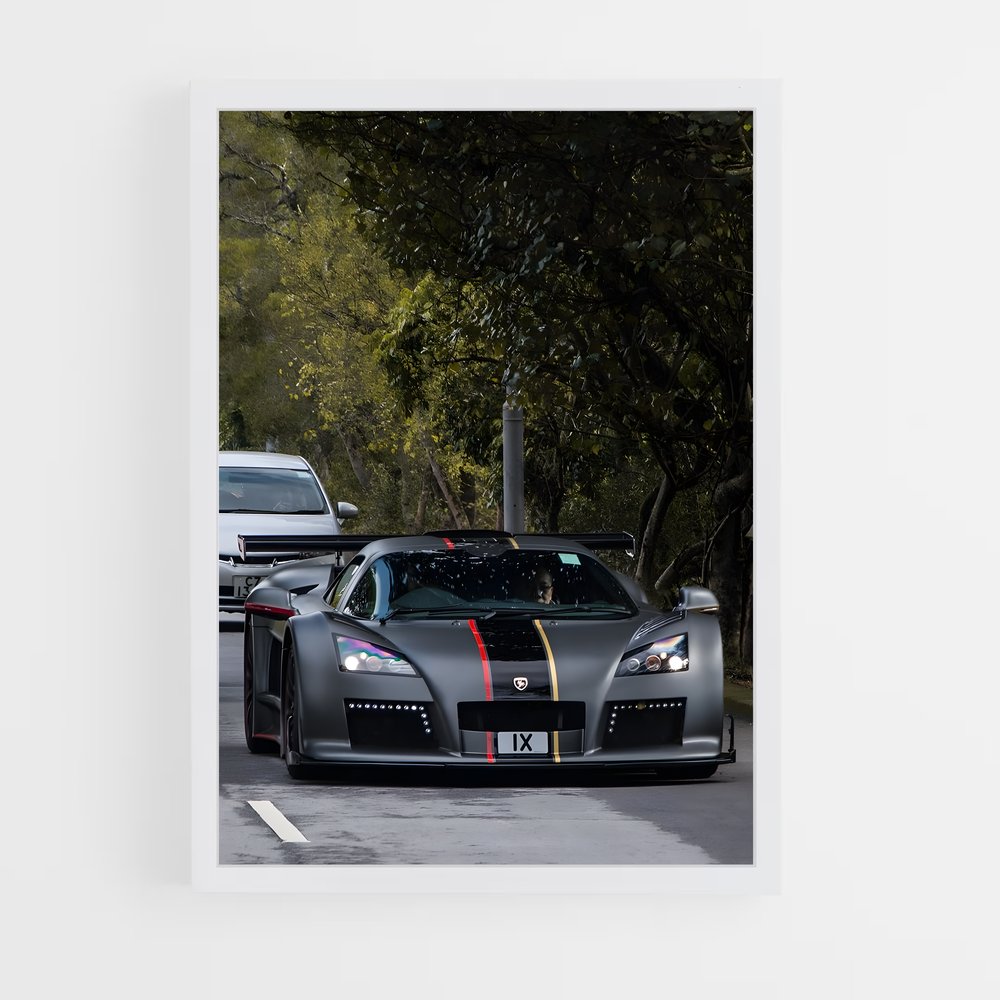 Poster Gumpert Racing (vue 3)
