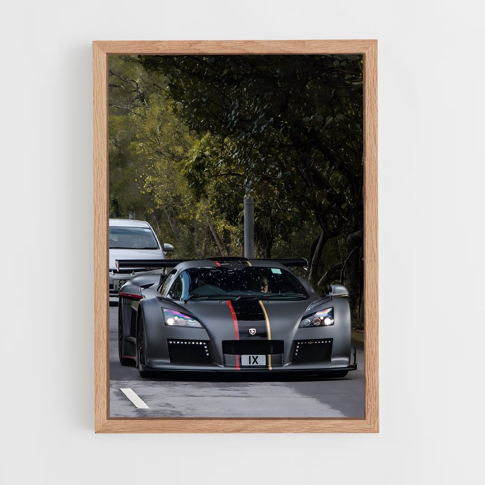 Poster Gumpert Racing (vue 4)