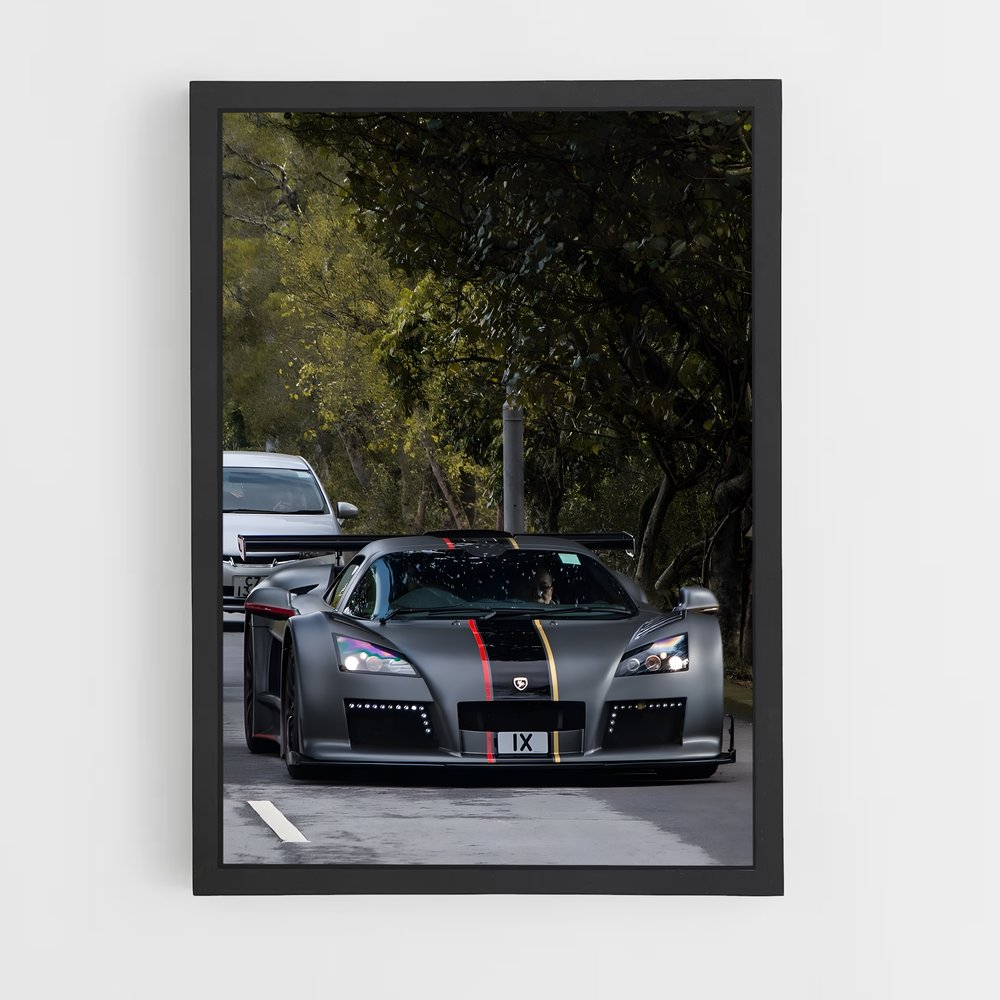 Poster Gumpert Racing (vue 2)