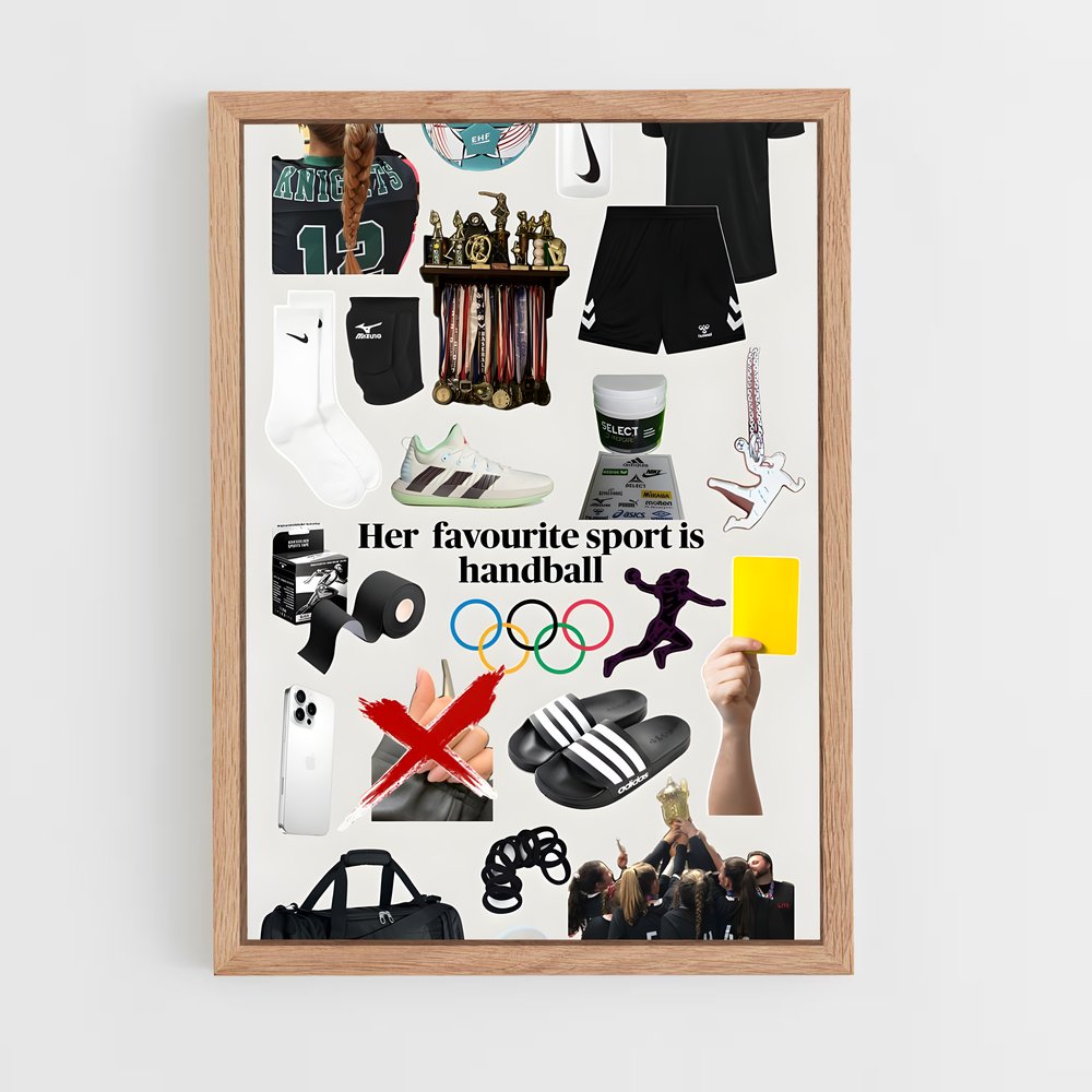 Poster Handball Heroes (vue 4)