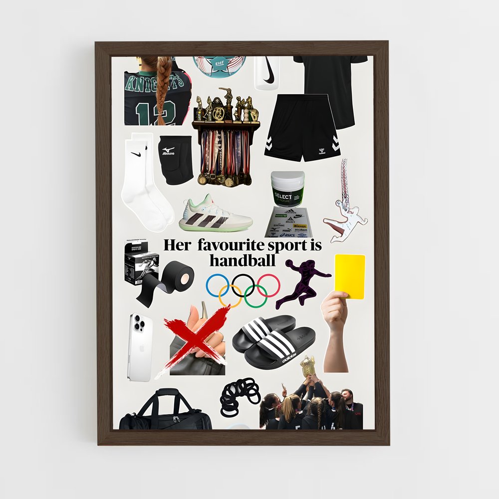 Poster Handball Heroes (vue 5)