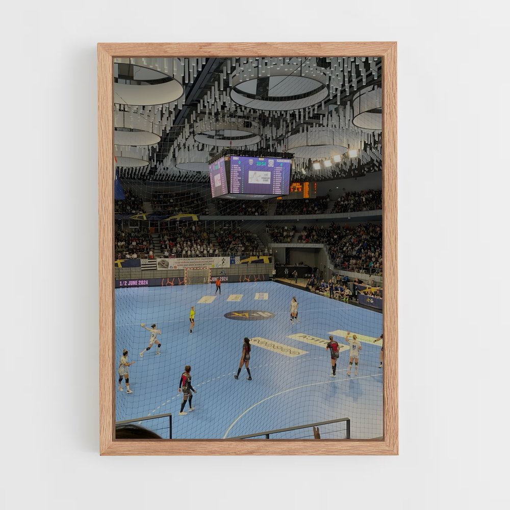 Poster Handball Vibrez (vue 4)