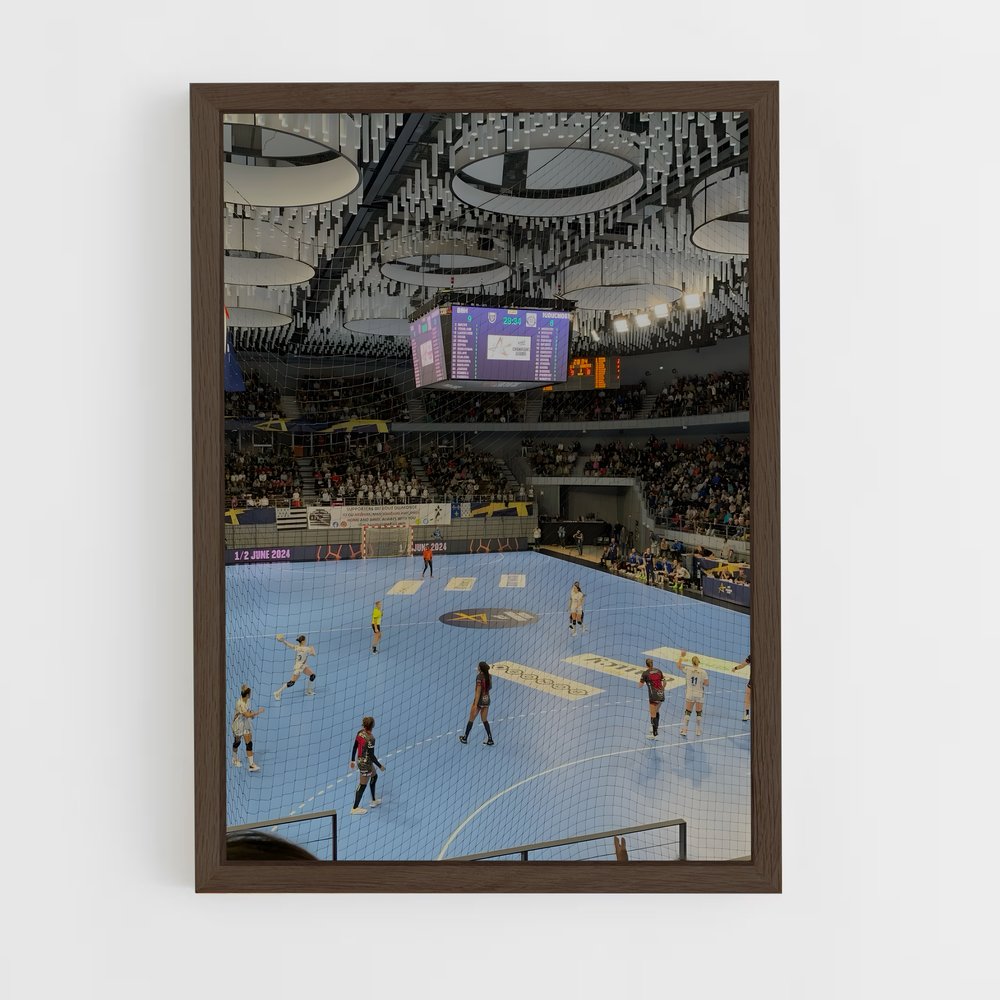 Poster Handball Vibrez (vue 5)