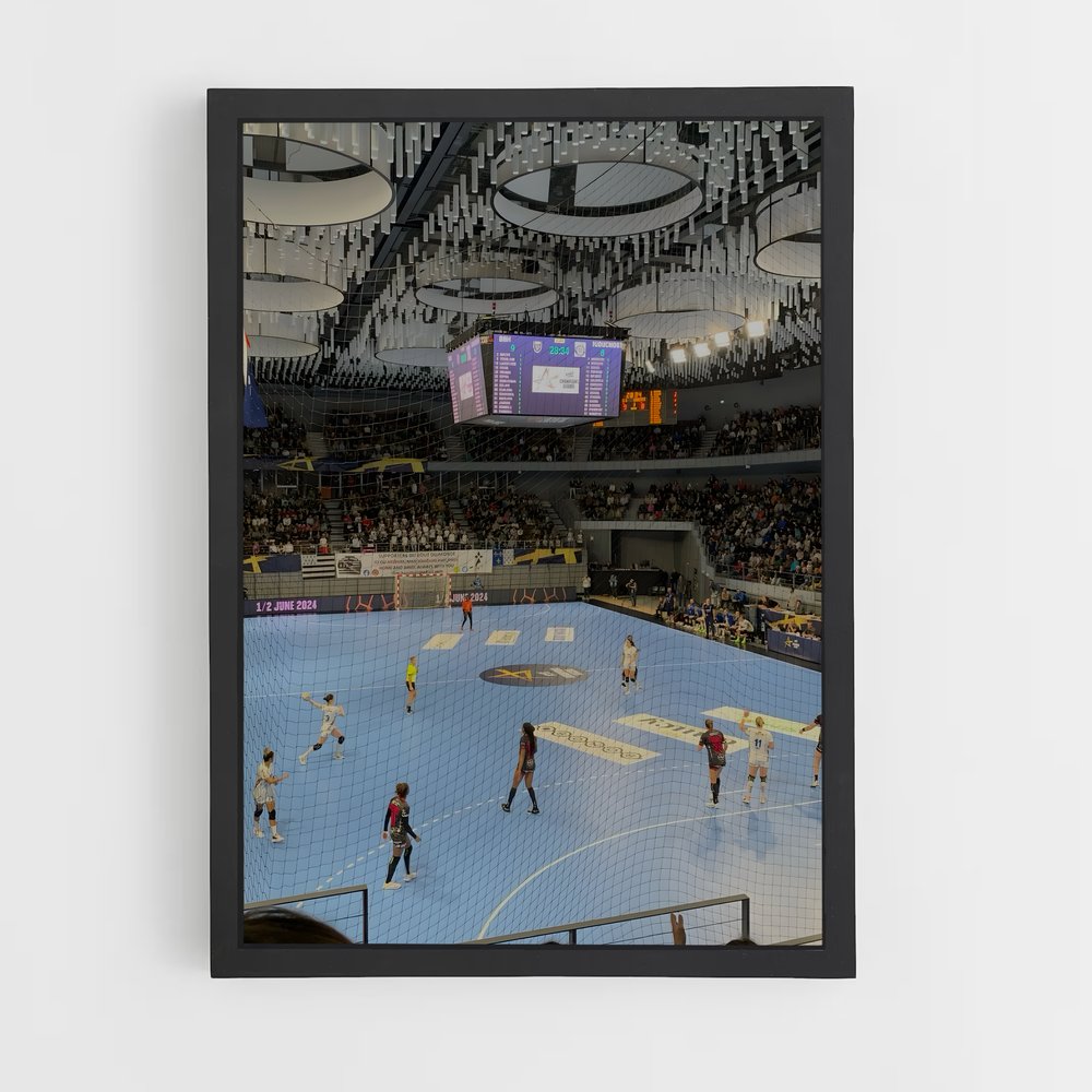 Poster Handball Vibrez (vue 2)