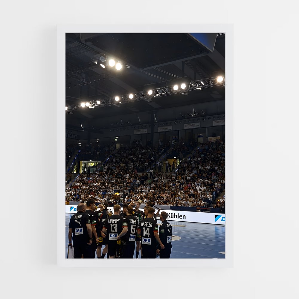 Poster Handball Terrain (vue 3)
